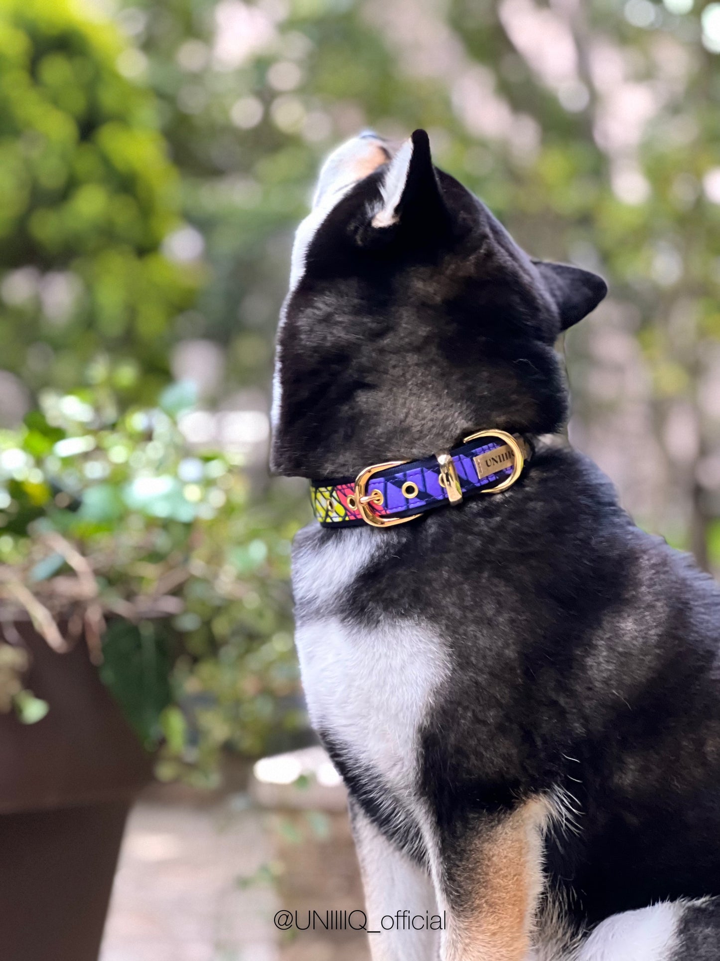 【Belt collar】African "LADDER"