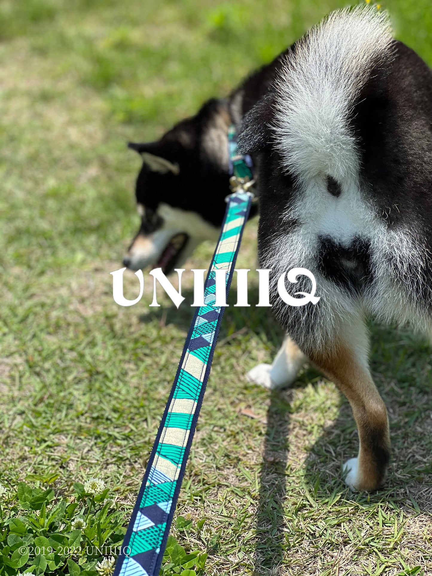 【Leash】African -ORI-